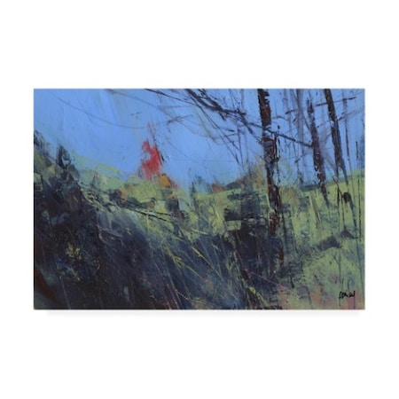 Paul Bailey 'Hillside Clearing' Canvas Art,22x32